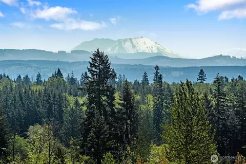 0 Nnn Burchett Rd, Onalaska, WA 98570 photo 15