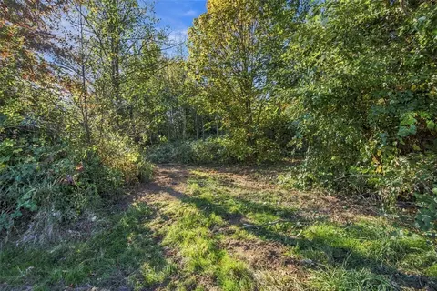 0 Nnn Burchett Rd, Onalaska, WA 98570 photo 8