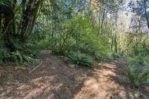 0 Nnn Burchett Rd, Onalaska, WA 98570 photo 24