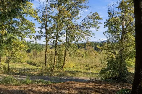 0 Nnn Burchett Rd, Onalaska, WA 98570 photo 18