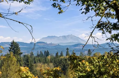 0 Nnn Burchett Rd, Onalaska, WA 98570 photo 20