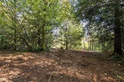 0 Nnn Burchett Rd, Onalaska, WA 98570 photo 6