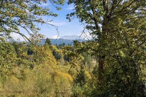 0 Nnn Burchett Rd, Onalaska, WA 98570 photo 21