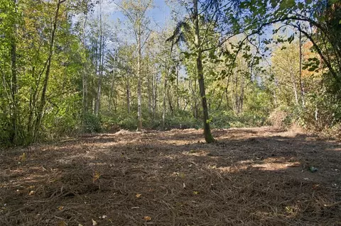 0 Nnn Burchett Rd, Onalaska, WA 98570 photo 28