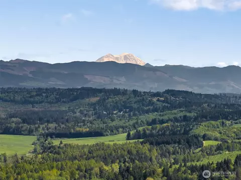 0 Nnn Burchett Rd, Onalaska, WA 98570 photo 14
