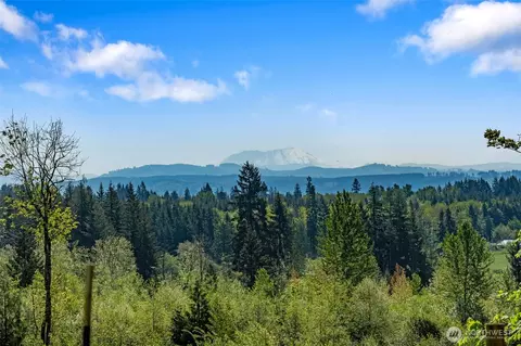 0 Nnn Burchett Rd, Onalaska, WA 98570 photo 16