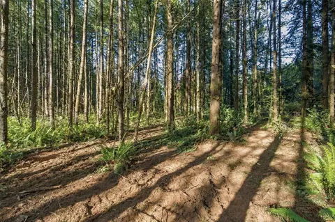 0 Nnn Burchett Rd, Onalaska, WA 98570 photo 30