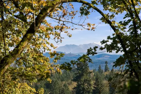 0 Nnn Burchett Rd, Onalaska, WA 98570 photo 17
