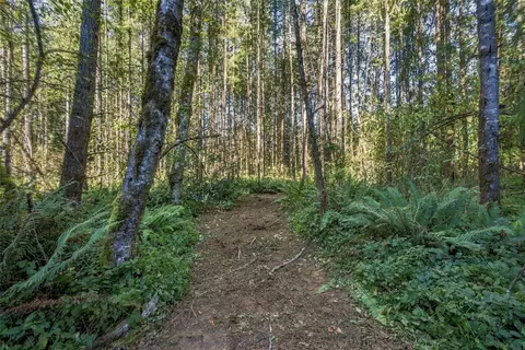 0 Nnn Burchett Rd, Onalaska, WA 98570 photo 9