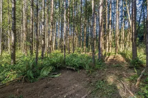 0 Nnn Burchett Rd, Onalaska, WA 98570 photo 29