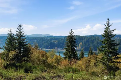 3 E Lone Fir Dr, Shelton, WA 98584