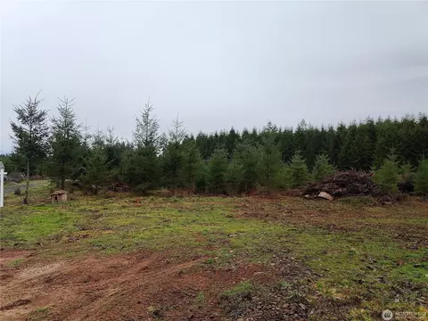 196 Allman Rd, Winlock, WA 98596 photo 11