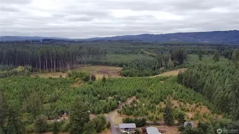 196 Allman Rd, Winlock, WA 98596 photo 8