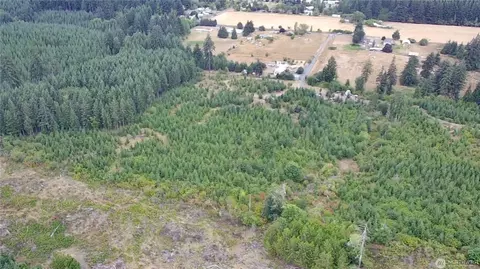 196 Allman Rd, Winlock, WA 98596 photo 3