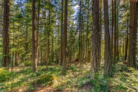 20 Discovery Way, Orcas Island, WA 98245 photo 26