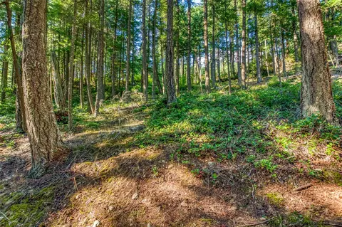 20 Discovery Way, Orcas Island, WA 98245 photo 28