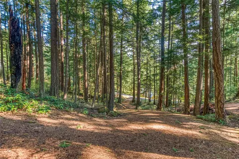20 Discovery Way, Orcas Island, WA 98245 photo 29