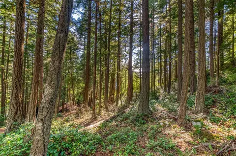 20 Discovery Way, Orcas Island, WA 98245 photo 33