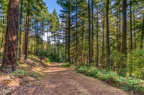 20 Discovery Way, Orcas Island, WA 98245 photo 16