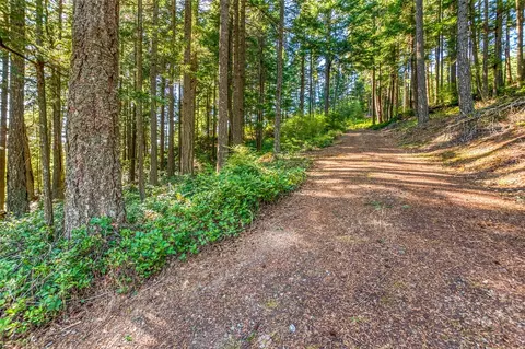 20 Discovery Way, Orcas Island, WA 98245 photo 14
