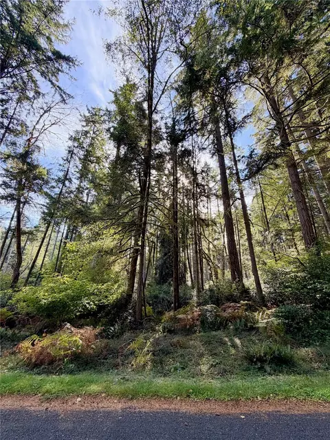 11616 Country Club Dr, Anderson Island, WA 98303