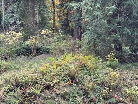12173 SW Cedarhurst Rd, Vashon, WA 98070