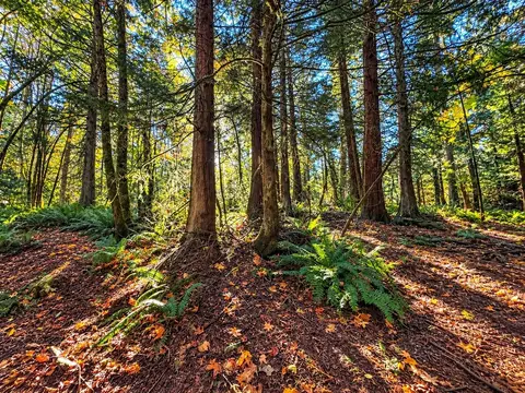 0 Nevada Ave E, Port Orchard, WA 98366