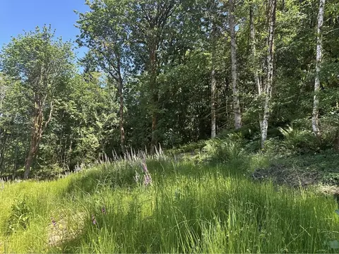 44 Acres Mccary Rd SW, Bremerton, WA 98312