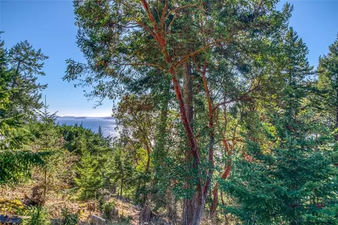 980 Palisades Dr, Orcas Island, WA 98245 photo 8