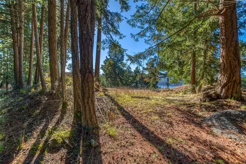 980 Palisades Dr, Orcas Island, WA 98245 photo 6