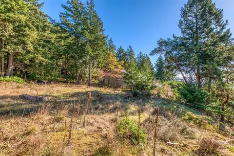 980 Palisades Dr, Orcas Island, WA 98245 photo 29