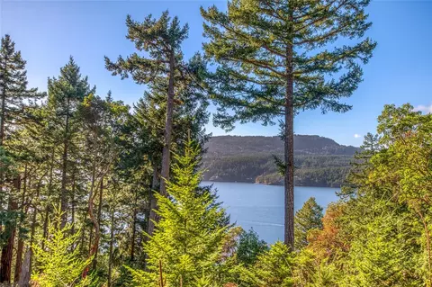 980 Palisades Dr, Orcas Island, WA 98245 photo 4