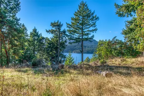 980 Palisades Dr, Orcas Island, WA 98245 photo 22