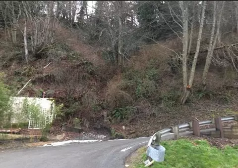 0 Xy Dallman Rd, Camano Island, WA 98282