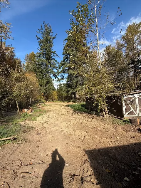 826 Tipsoo Loop S, Rainier, WA 98576 photo 34