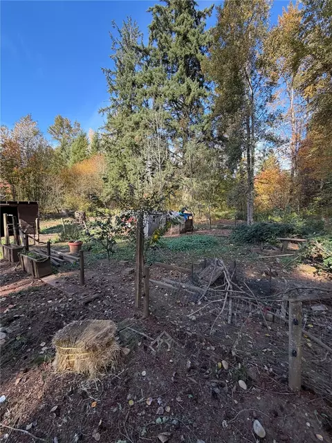 826 Tipsoo Loop S, Rainier, WA 98576 photo 36
