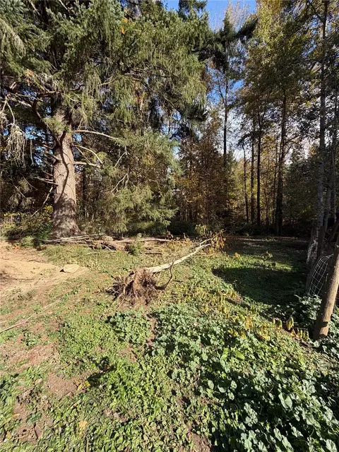 826 Tipsoo Loop S, Rainier, WA 98576 photo 37