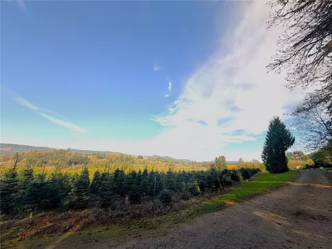 228 Schoonover Rd, Mossyrock, WA 98564