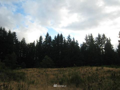 5202 Triangle Rd, Langley, WA 98260 photo 1