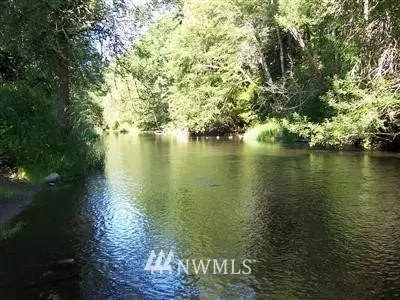 16039 Vail Loop SE, Rainier, WA 98576 photo 1