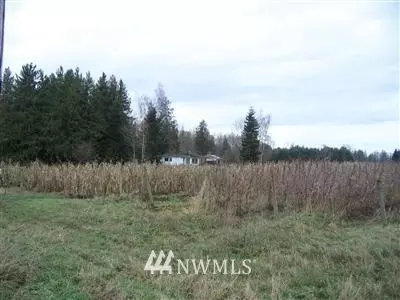 3626 Back Acres Rd, Everson, WA 98247 photo 1