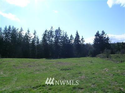 5208 Triangle Rd, Langley, WA 98260 photo 1