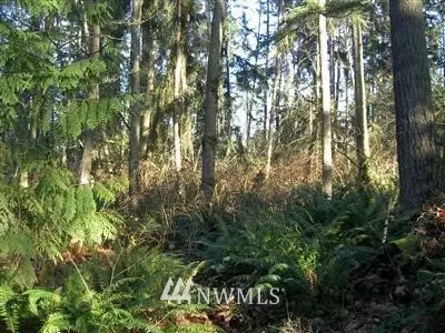 14919 41st Ave SE, Bothell, WA 98012 photo 4