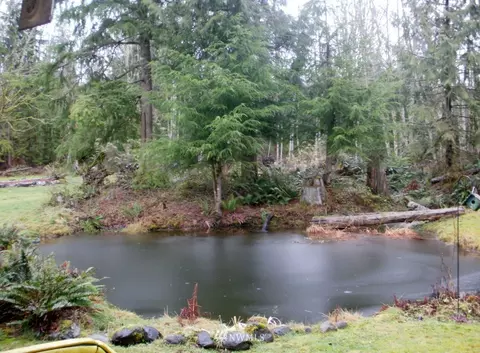 47802 323 Ave SE, Enumclaw, WA 98022 photo 14