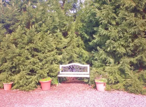 101 San Juan Dr, Sequim, WA 98382 photo 15