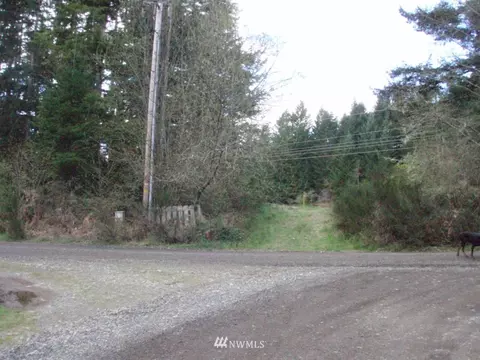 41 E Rasor Pl, Belfair, WA 98528 photo 7