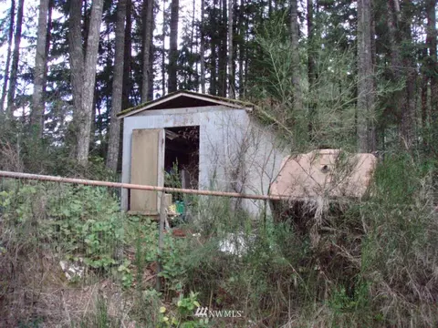 41 E Rasor Pl, Belfair, WA 98528 photo 4