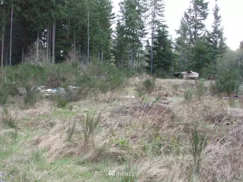 41 E Rasor Pl, Belfair, WA 98528 photo 6
