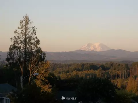 223 Mitchell Ln, Napavine, WA 98565 photo 3