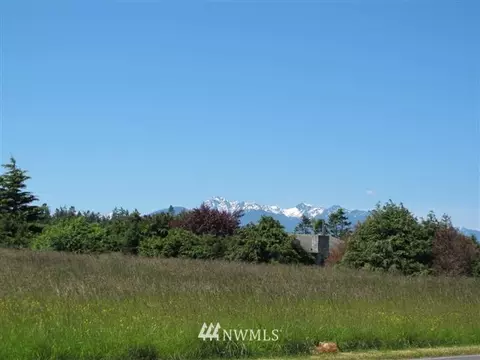 300 Thornton Dr, Sequim, WA 98382 photo 8